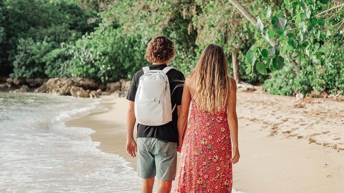 BREVITE The Backpack