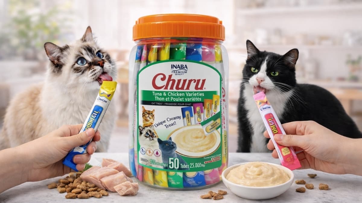Cats eating INABA Churu Cat Treats tuna and chicken puree from tubes