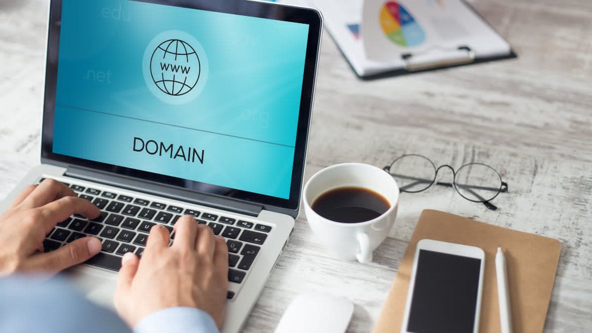 Domain name registration dashboard for new business website